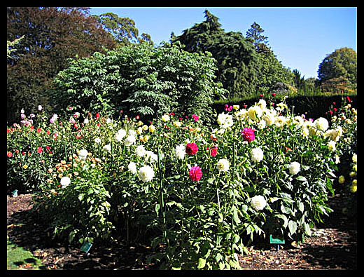 Jardin botanique Christchurch